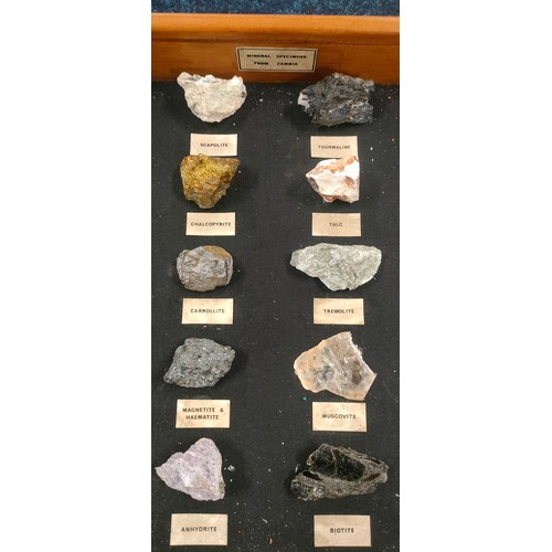 88 - Cased Mineral Specimens from Zambia. [6x45.5x30.5cm]