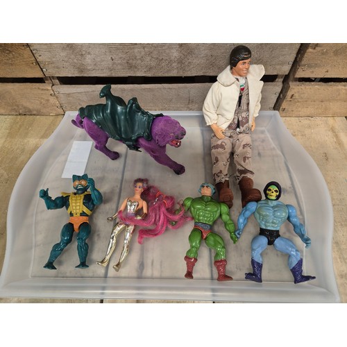 318 - A tray of collectable vintage toy figures; He-man figures Skelator, Panthor Savage Cat, Mer Man, She... 