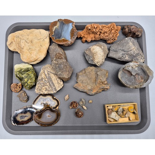 123 - A collection of ancient fossils & Agate stones; Trilobite fossils, opal crystal, polished Oregon, Am... 