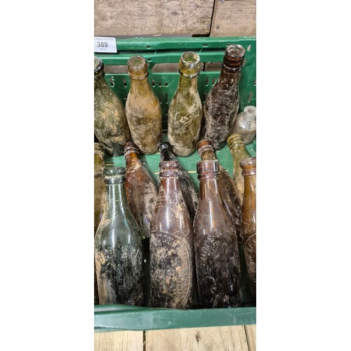 389 - A Collection of antique glass beer & wine bottles; TGR Nanson Carlisle, fine port brewery, mostly Ca... 