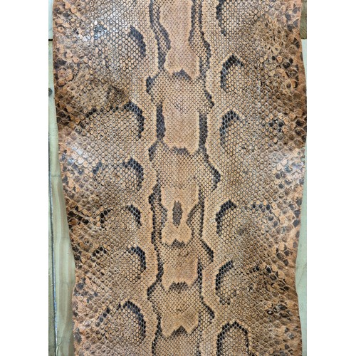 267 - Antique snake skin probably python.[325cm in length 13 foot]