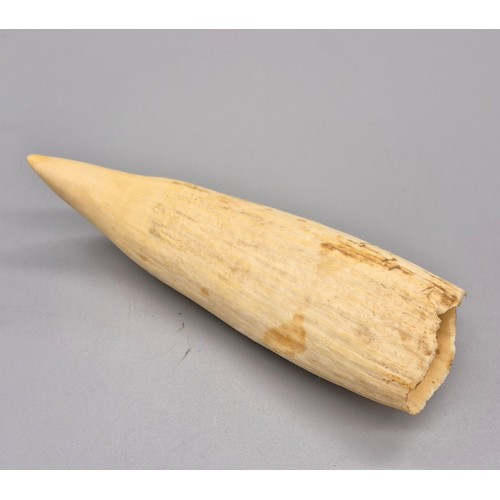 86 - 19th century scrimshaw. [15cm length]