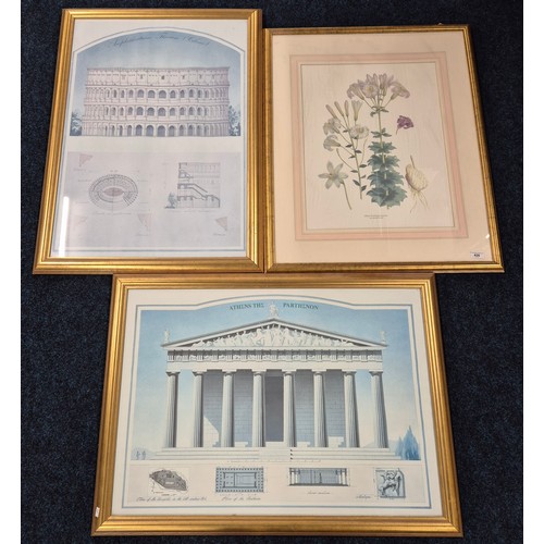 420 - Three large Prints with gilt frames. Colosseum, Botanical print and Parthenon print.