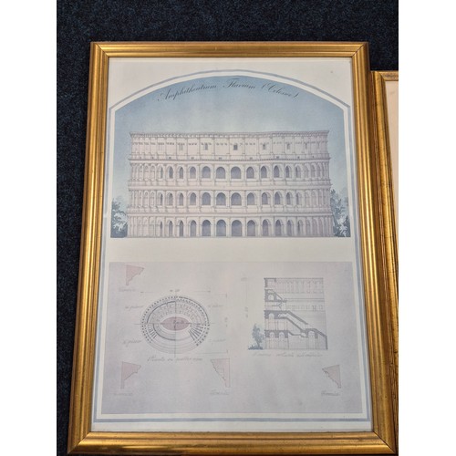 420 - Three large Prints with gilt frames. Colosseum, Botanical print and Parthenon print.