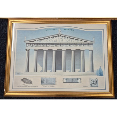 420 - Three large Prints with gilt frames. Colosseum, Botanical print and Parthenon print.