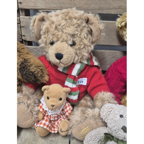 229 - A Collection of Nine Harrods London collectable teddy bears [45cm tallest]