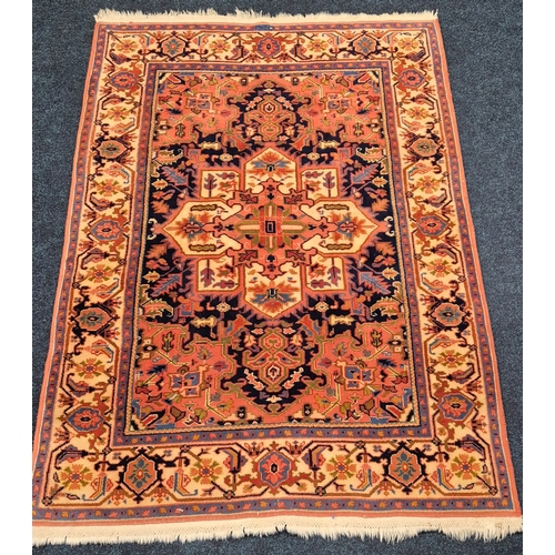 316 - Persian style hand knotted livingroom rug [185.5x126cm]