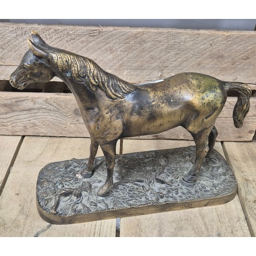 336 - FARBEL
Bronze Horse
bronze with shaded patina
Signed on the terrace
[23 x 25 x 10 cm]