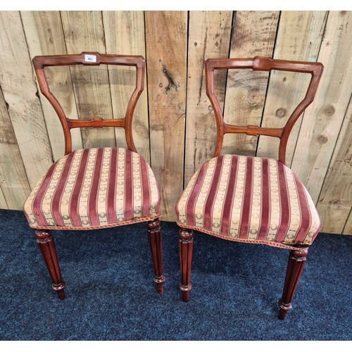 463 - A pair of boudoir bedroom chairs, Mahogany frame. Raised on Turned legs and outswpet back legs.