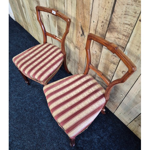 463 - A pair of boudoir bedroom chairs, Mahogany frame. Raised on Turned legs and outswpet back legs.