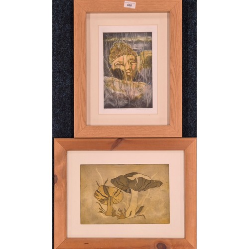 468 - Two Lithograph coloured prints; Artist Proof print titled 