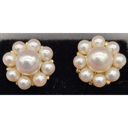 98 - 18ct yellow gold and Freshwater pearl earrings. [5.39grams]