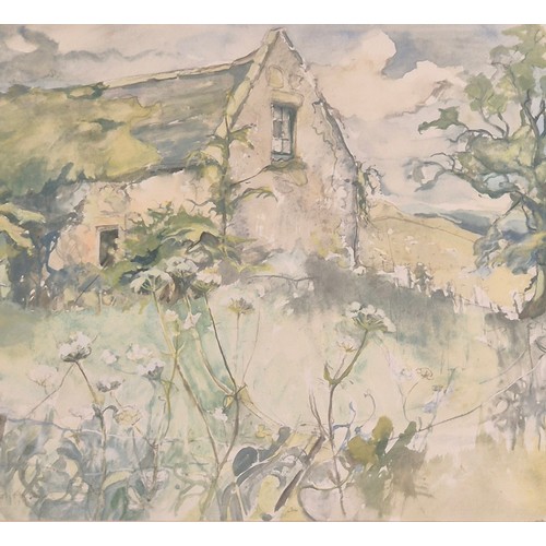 296 - Elspeth Haston D.A. 
Original pen and Watercolour. Titled 