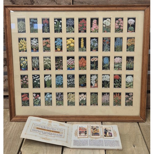 493 - A collection of Framed Wills cigarettes cards together with King George cigarette card Album