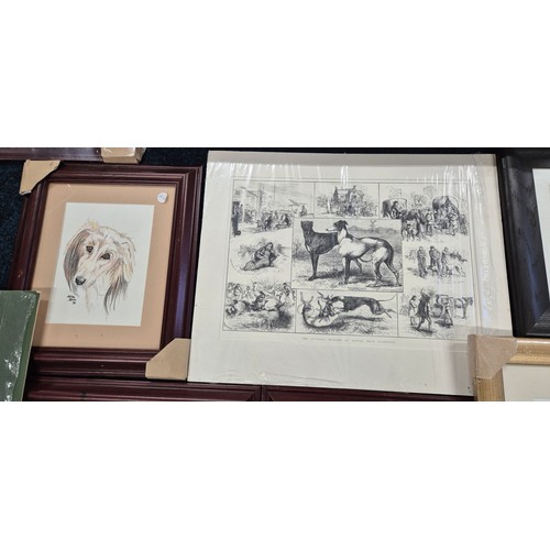 507 - A Large Collection of Caricature Whippet Dog related Prints