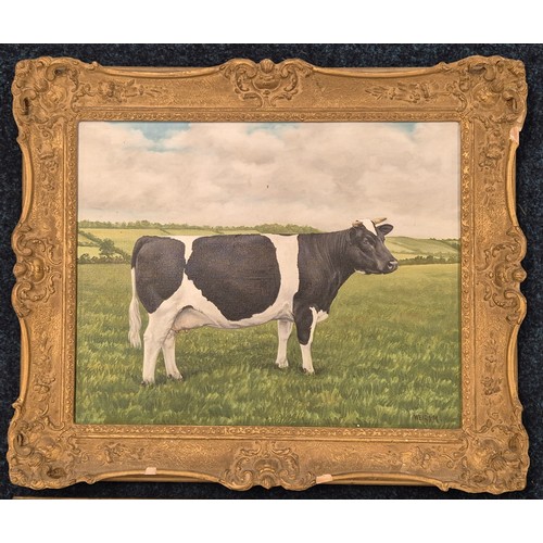 245A - M Weirs
Pair of oil paintings on canvas depicting prize bulls 