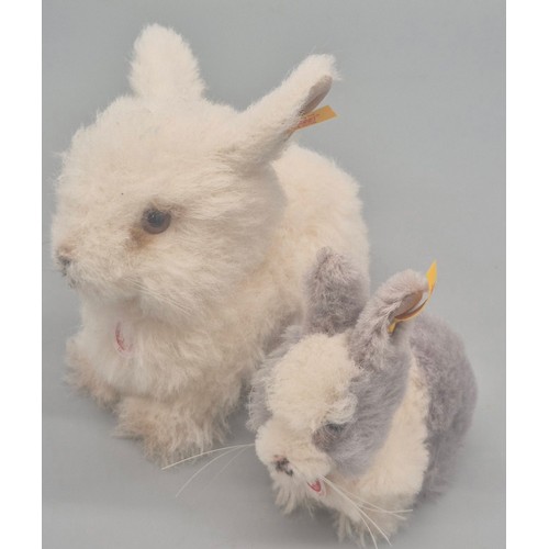 Two Steiff Rabbit Teddys. 16x19cm tallest.
