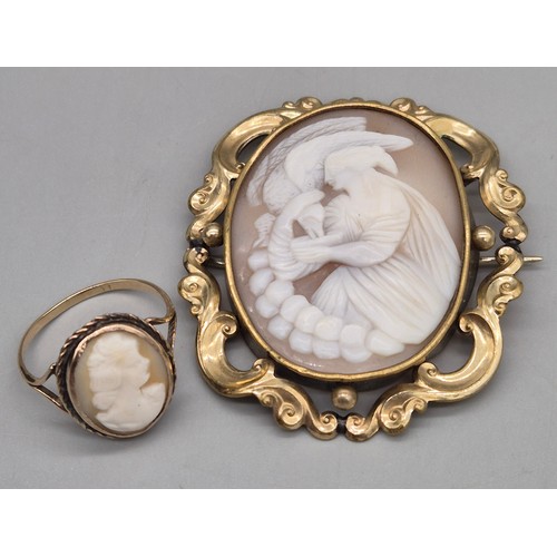 Lot 20        