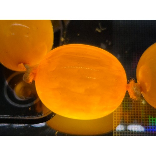 100 - Vintage Amber Egg Yolk Graduated Beads.