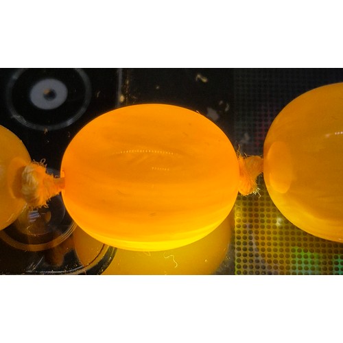 100 - Vintage Amber Egg Yolk Graduated Beads.