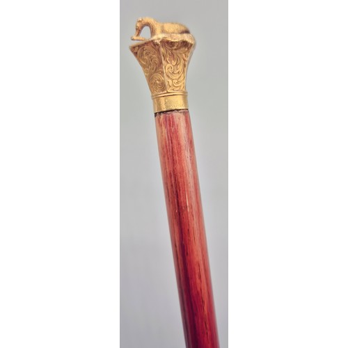 89 - Victorian Swaine & Isaac of London 18ct yellow gold and Mahogany swagger stick. 18ct is design with ... 