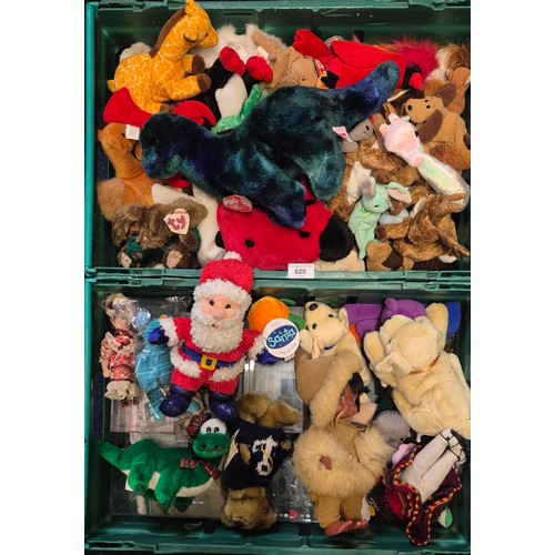 Lot 620       