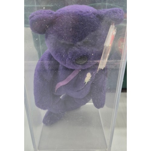 Crate of TY Beanie Bears ranging from 1990s/2000s.