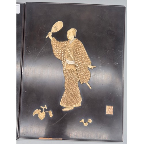 262 - Pair of 19th Century Japanese Shibayama Laquered panels. 30x22cm