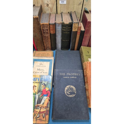 233 - Miscellaneous books. A crate.