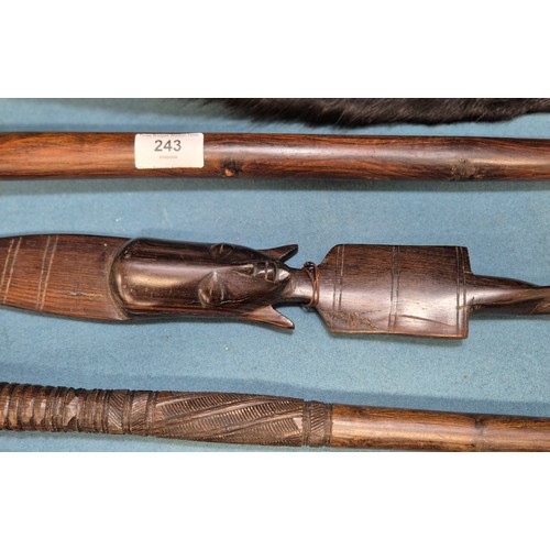243 - Selection of African carved items; four African hand carved walking sticks, Zulu style shield and ca... 