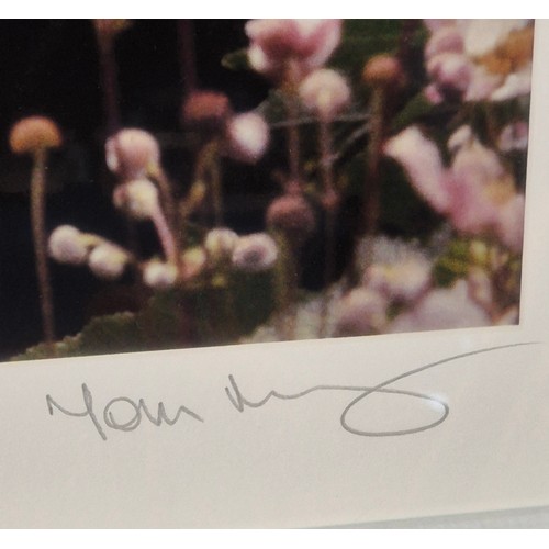 485 - Tom Murray LBIPP
The Mad Day 