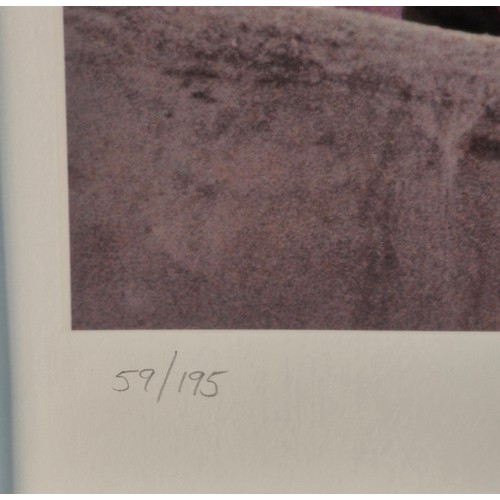 494 - Tom Murray LBIPP
The Mad Day 