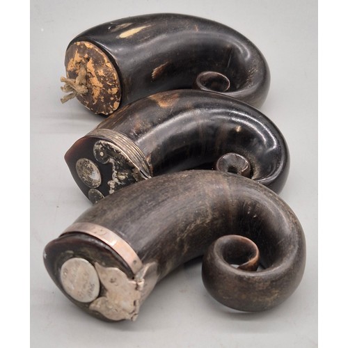 24 - Three 19th century Scottish Mull Horns.
