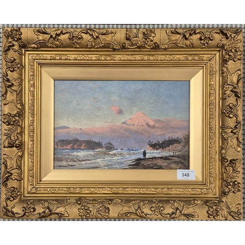 348 - 19th century oil painting on board. Depicting a coastal mountain scene. Unsigned. Fitted within an a... 