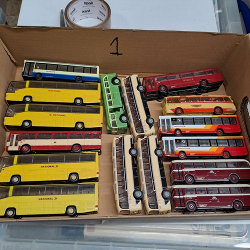 Lot 11        