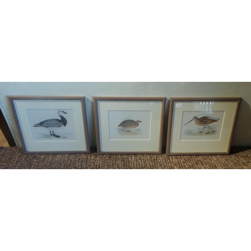 124 - Lot of 3 Prints