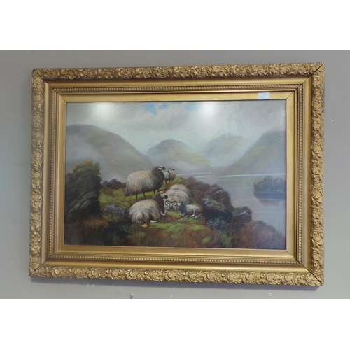 157 - Large Gilt Framed  Oil on board  Sheep Scene