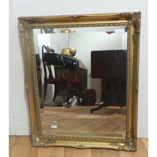 223 - Gilt Framed Mirror