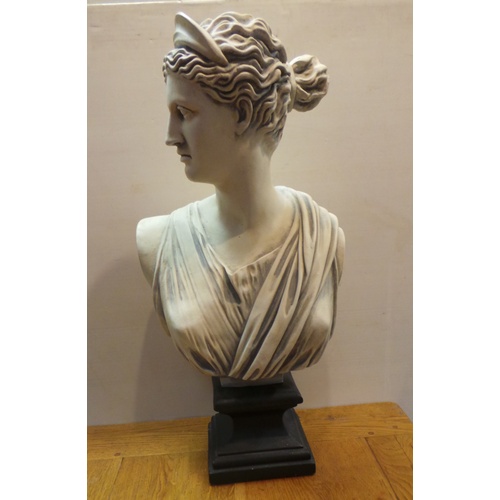 11 - Replica Classical Bust, 60cm high