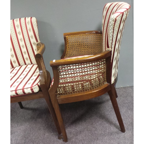 187 - Pair of Bergere Armchairs