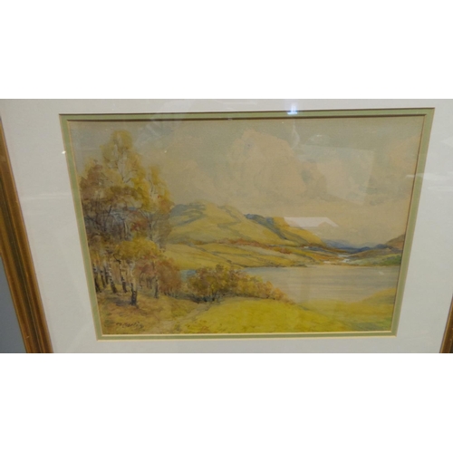 101 - Framed Watercolour Loch Landscape Signed D Martin, 45cm high x 55cm wide