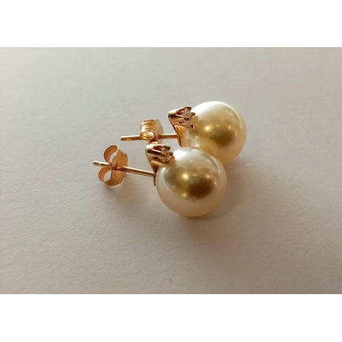 116 - 14K Pearl Set Ear Rings