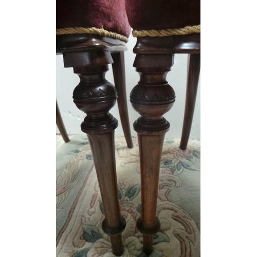 408 - Pair of Victorian Walnut Salon Chairs with Neddle point stuff over seats (seat height 46cm)