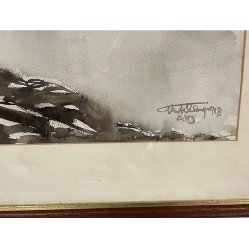 28 - Large Framed Watercolour