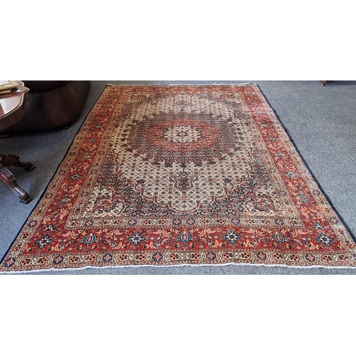 130 - Large Wool Carpet 289xm x 215cm