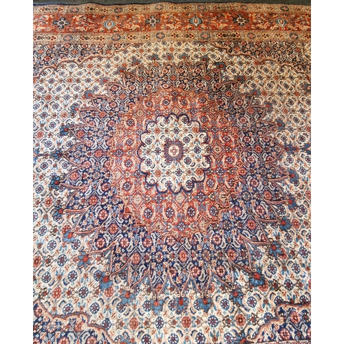 130 - Large Wool Carpet 289xm x 215cm