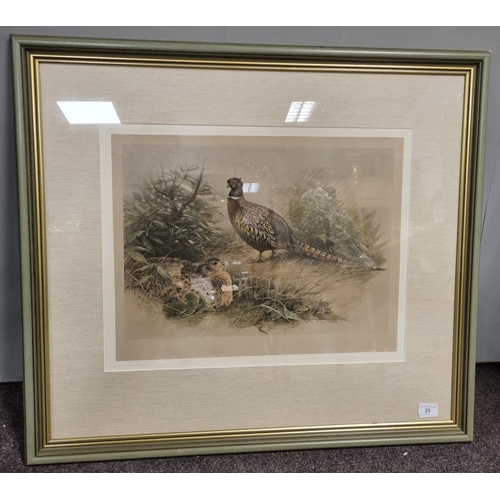 25 - Framed Engraving 'Pheasants'