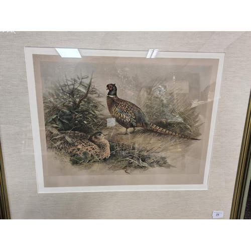 25 - Framed Engraving 'Pheasants'