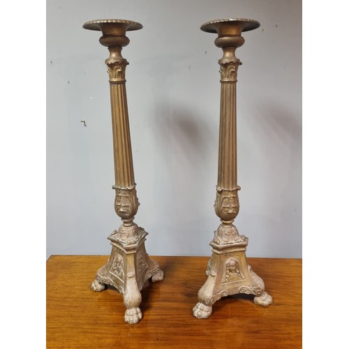 293 - Pair of French Altar Candle Sticks

Height 74cm