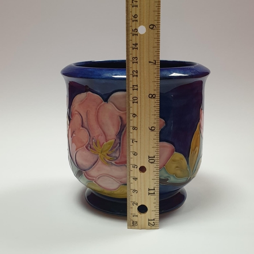 35 - Moorcroft Pot